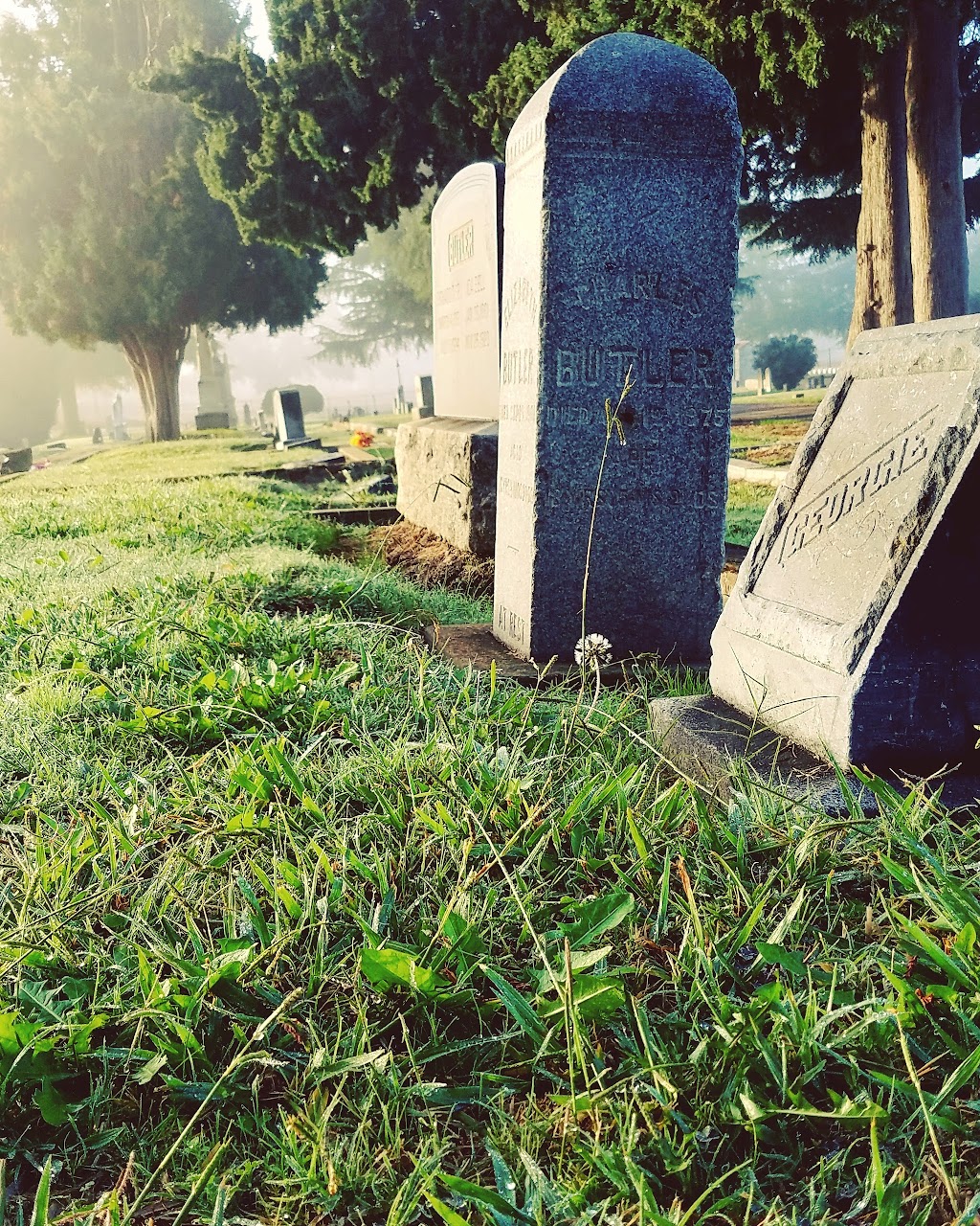 Sylvan Cemetery District | 7401 Auburn Blvd, Citrus Heights, CA 95610, USA | Phone: (916) 725-3406