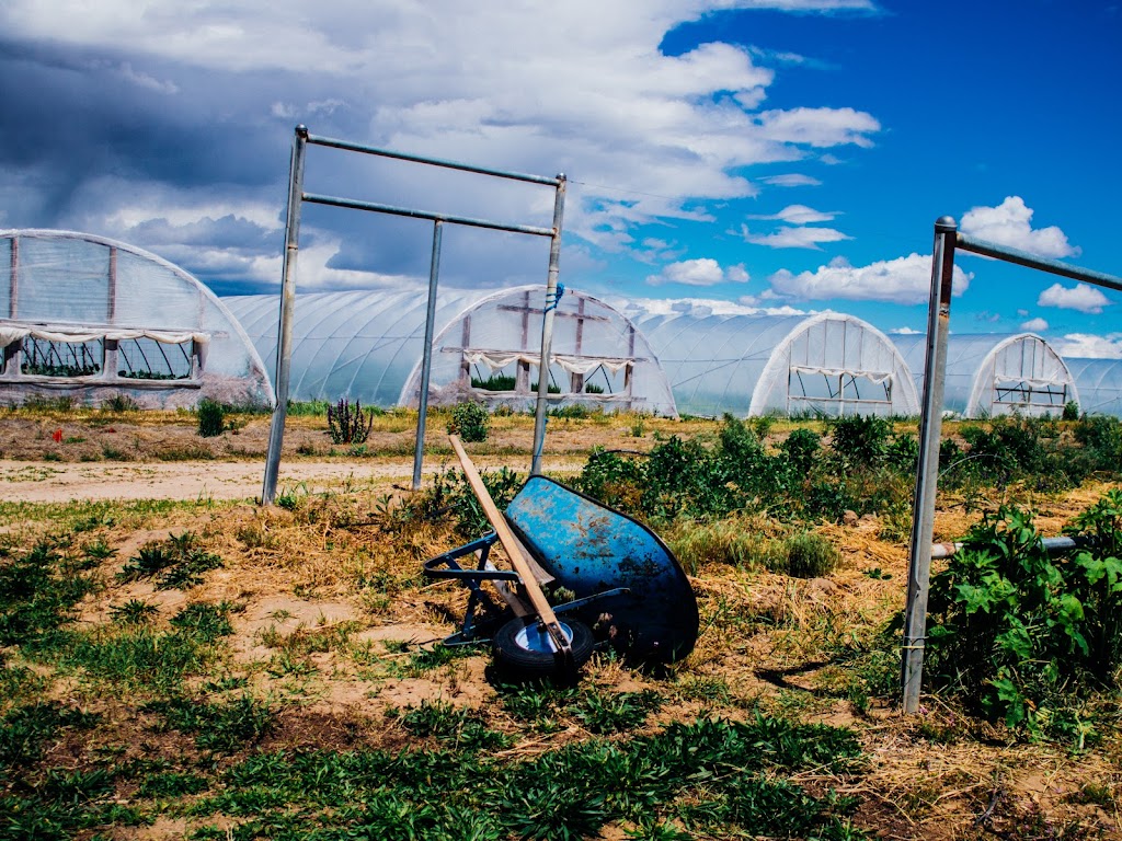 Purple Sage Farms | 11981 Bullock Rd, Middleton, ID 83644, USA | Phone: (208) 585-6140