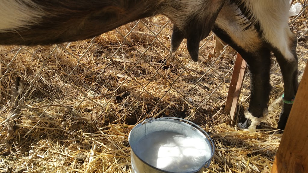 Sallys Produce LLC | 3828 Canada Rd, Gilroy, CA 95020, USA | Phone: (408) 838-6263