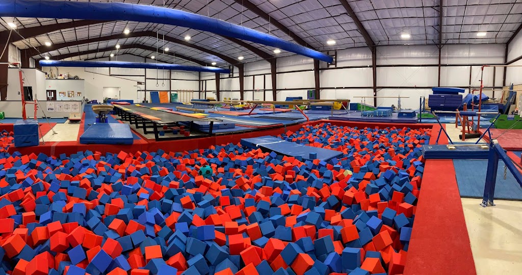 AAGI Gymnastics | 241 Watson Ln W, New Braunfels, TX 78130, USA | Phone: (830) 643-0720