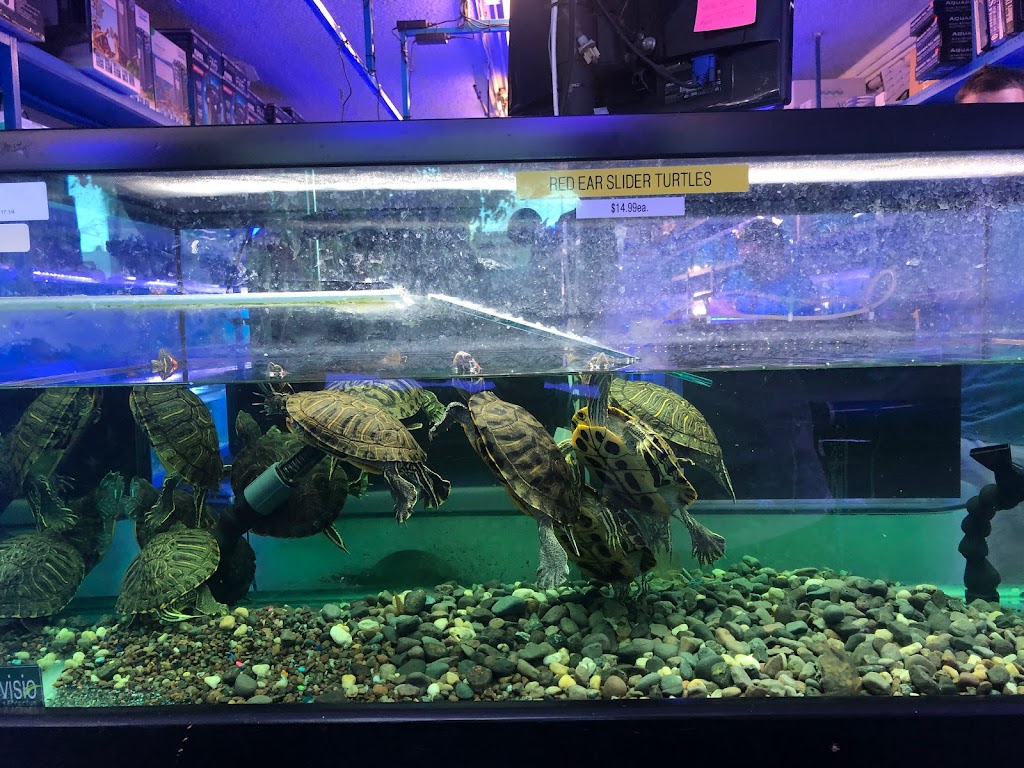 Rainbow Aquarium and Pond | 9066 Woodman Ave, Pacoima, CA 91331, USA | Phone: (818) 891-6366