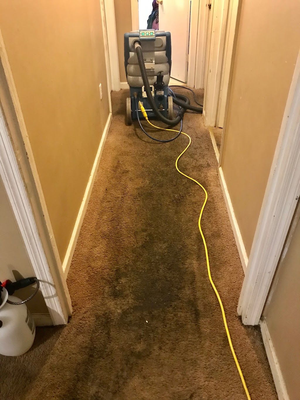 Carpet Cleaning of Memphis | 6757 Franie Ln, Lakeland, TN 38002 | Phone: (901) 482-5892