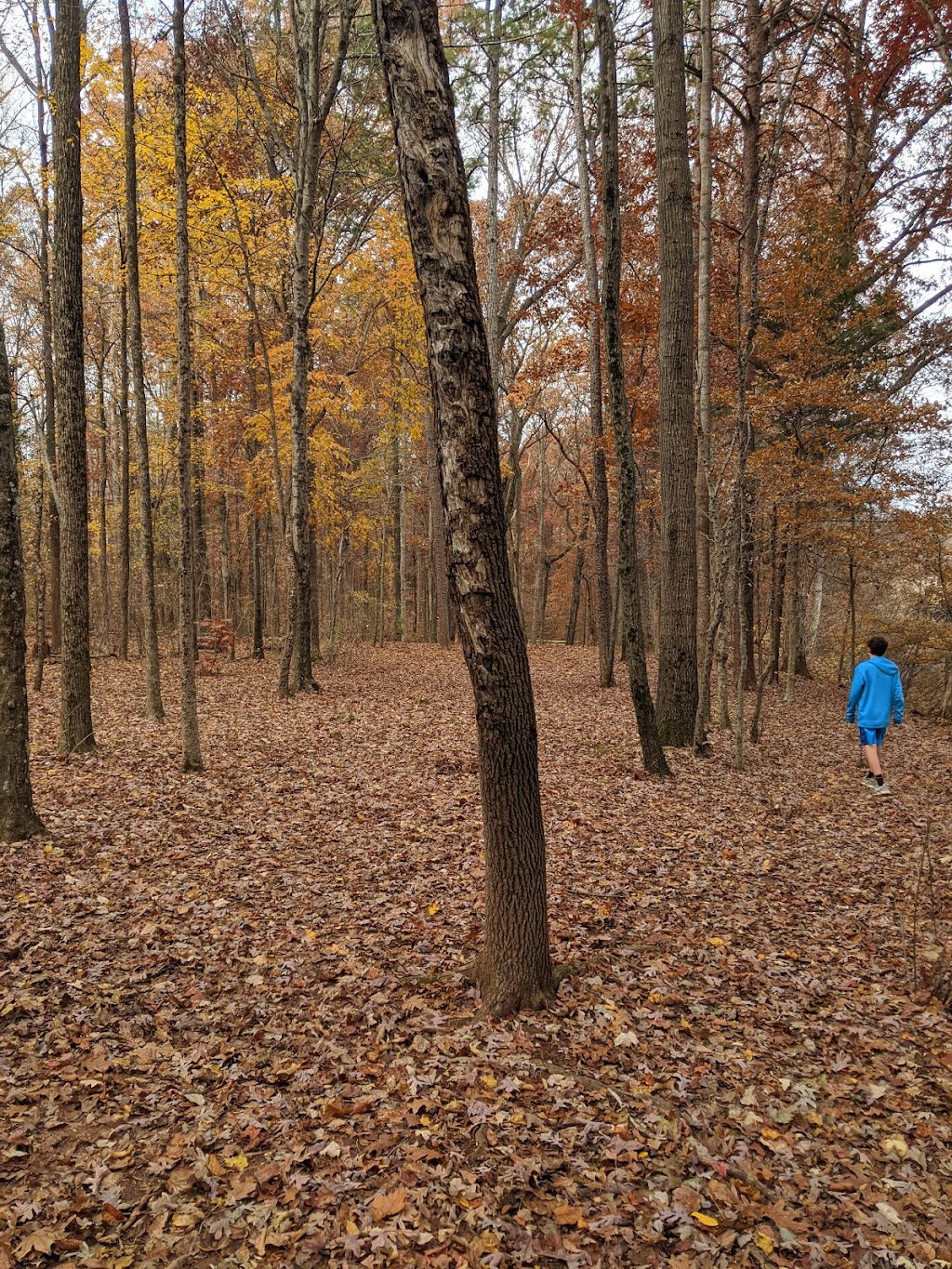 Renaissance Disc Golf Park - Gold | 1200 W Tyvola Rd, Charlotte, NC 28217, USA | Phone: (980) 314-1003