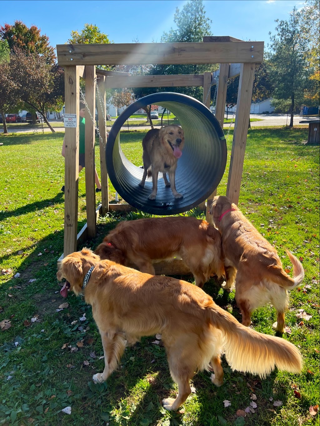 Brunswick Dog Park | Cross Creek Dr, Brunswick, OH 44212, USA | Phone: (330) 225-9144