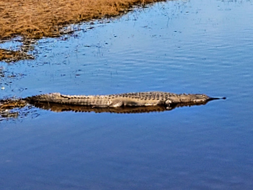 Myakka River State Park Clay Gully Picnic Area | 28722 Clay Gully Rd, Myakka City, FL 34251, USA | Phone: (941) 361-6511