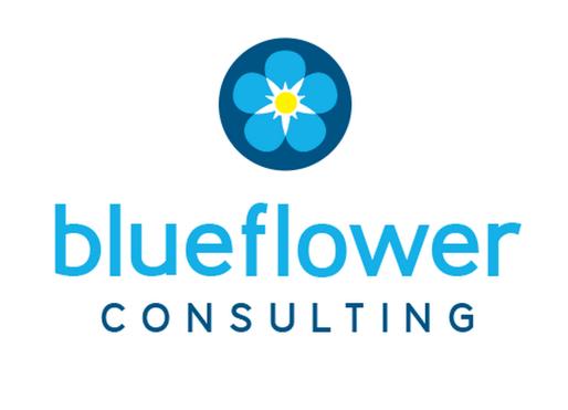 Blueflower Consulting | 79 King St, Woody Point QLD 4019, Australia | Phone: 0407 131 351