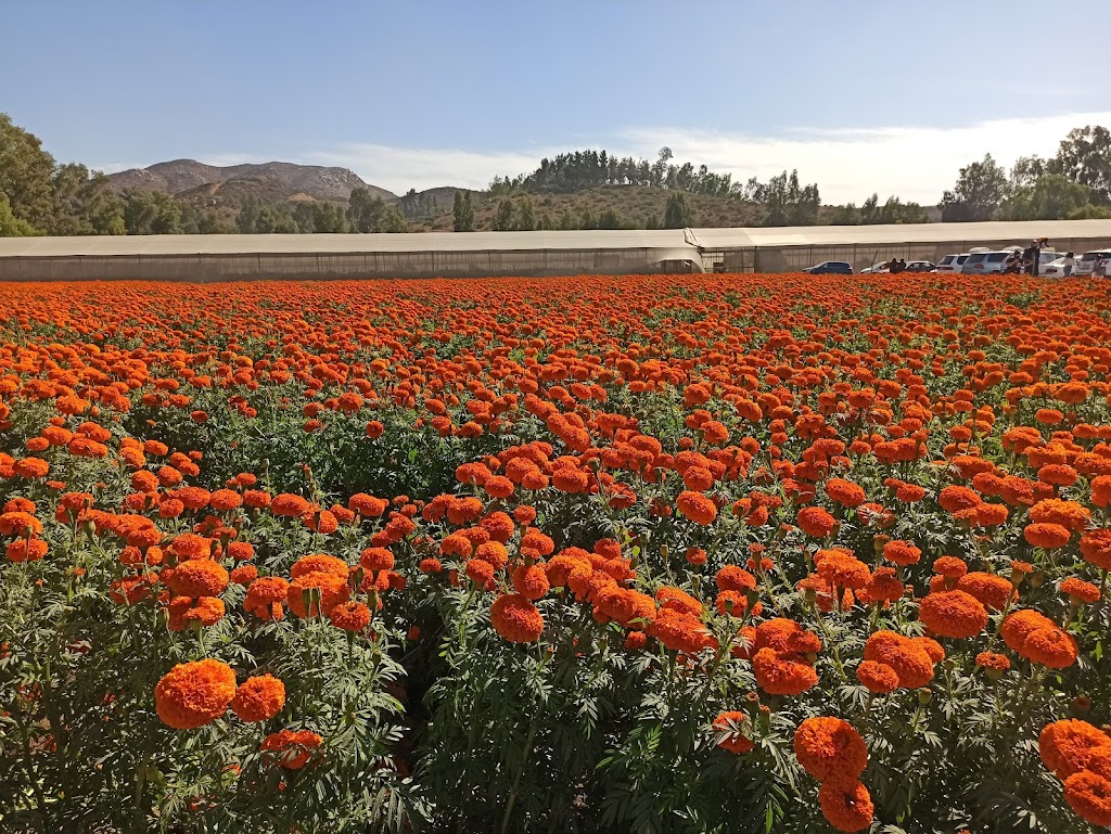 Rancho Casian | Carretera Tijuana Rosarito km 22, Poblado Cueros de Venado, 22125 Tijuana, B.C., Mexico | Phone: 664 118 6455