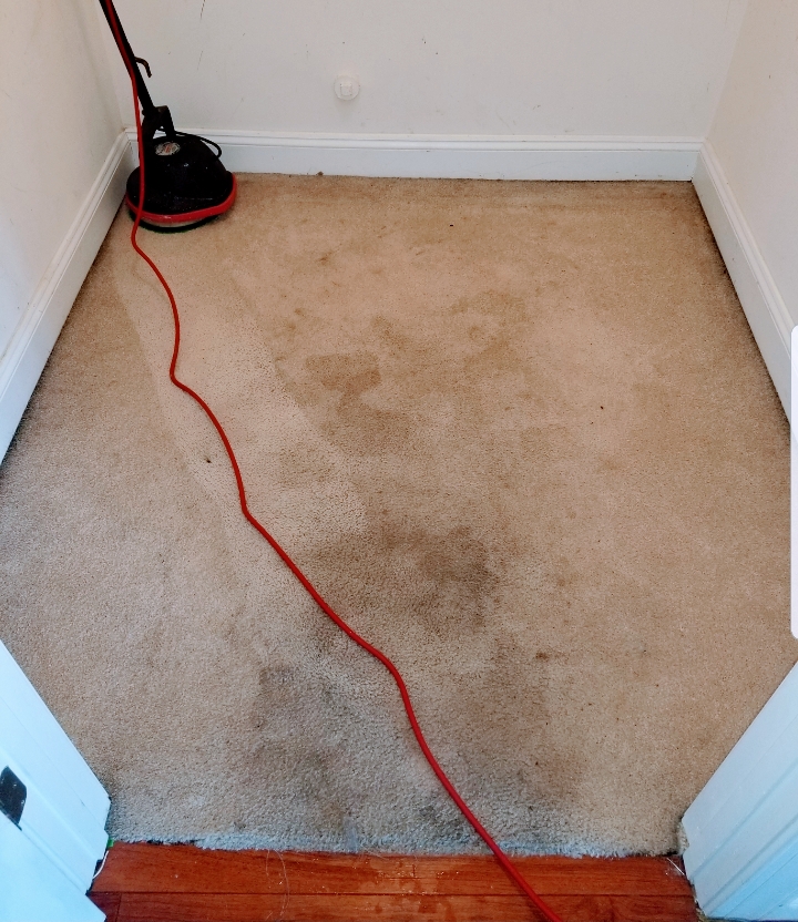 Extremely Clean Carpets & Services | 121 Ivy Home Rd, Hampton, VA 23669, USA | Phone: (757) 969-0723