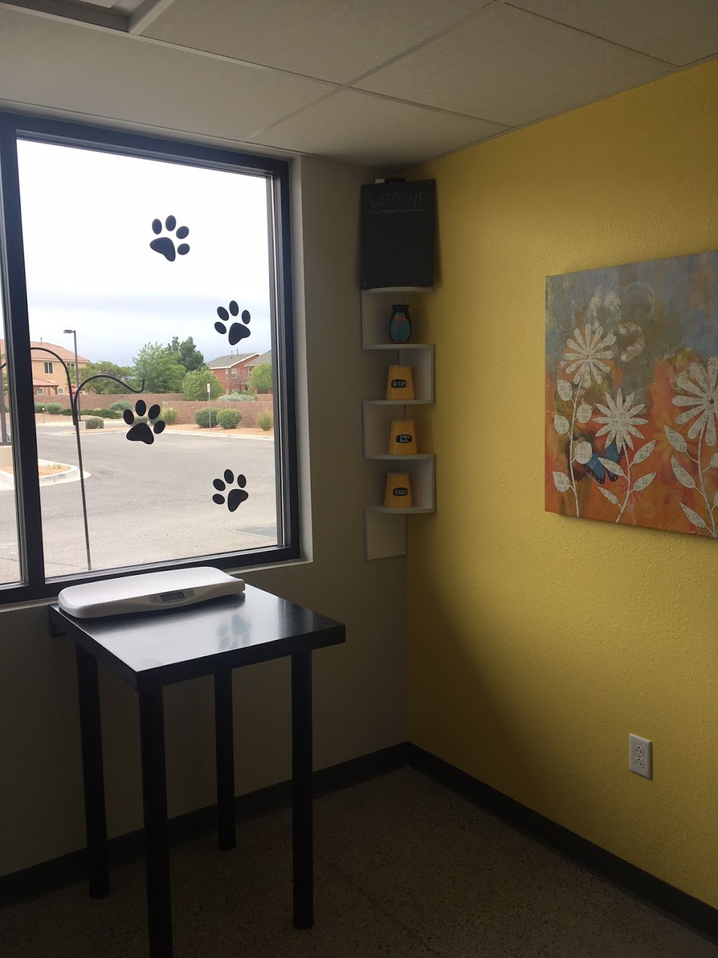 Mission Veterinary Clinic | 2451 Cabezon Blvd SE, Rio Rancho, NM 87124, USA | Phone: (505) 389-4200