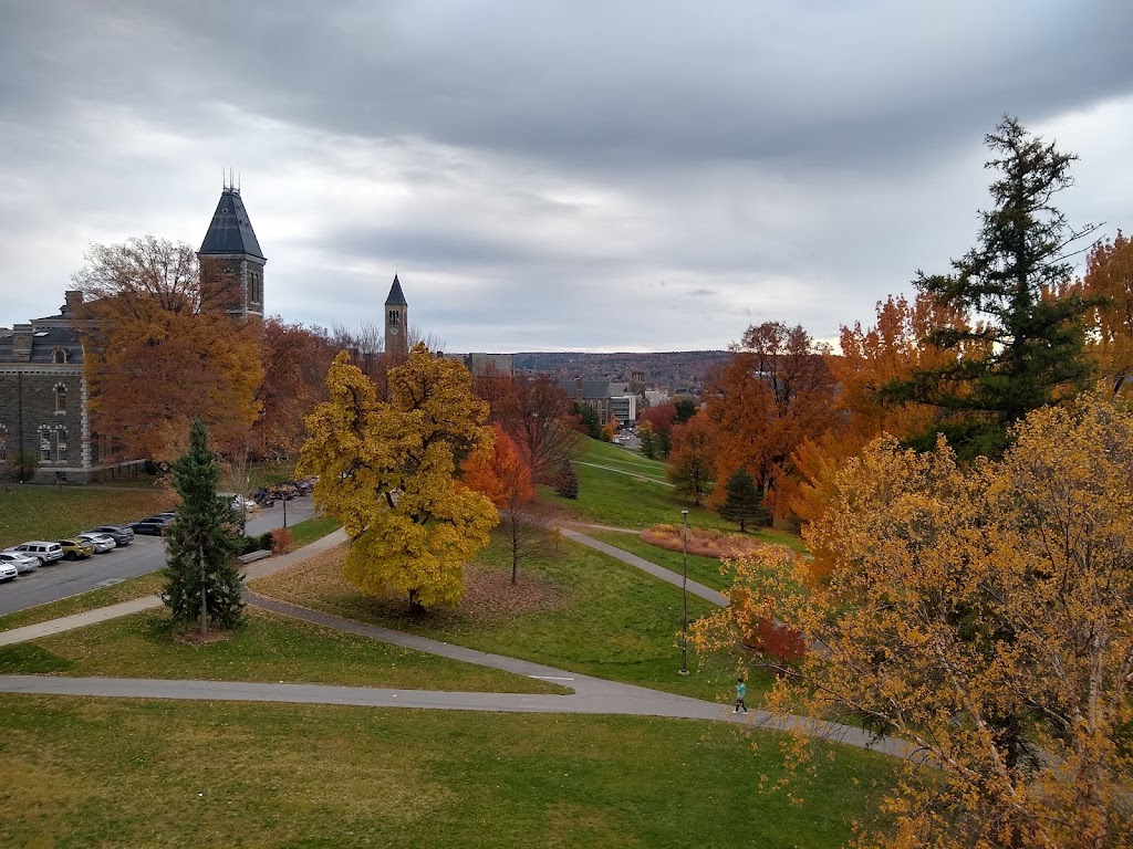 Herbert F. Johnson Museum of Art | 114 Central Ave, Ithaca, NY 14853, USA | Phone: (607) 255-6464