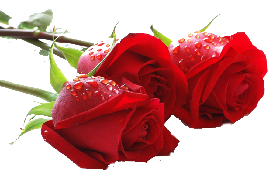 GS Custom Made | 4907 Cranbrook Dr E, Colleyville, TX 76034, USA | Phone: (214) 808-2691