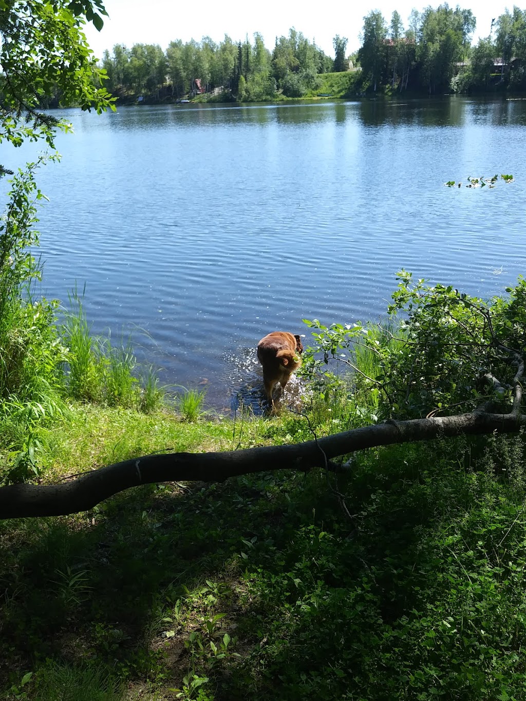 Meadow Lakes Christian Center | 1040 Pittman Rd, Wasilla, AK 99623, USA | Phone: (907) 357-8085