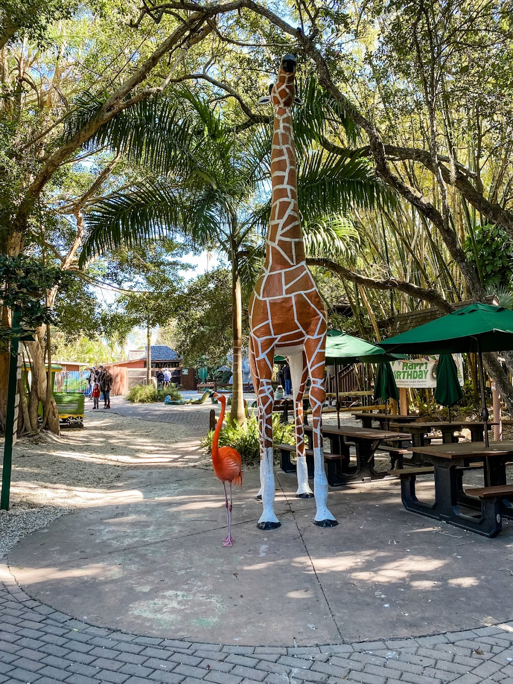 Sarasota Jungle Gardens | 3701 Bay Shore Rd, Sarasota, FL 34234, USA | Phone: (941) 355-5305