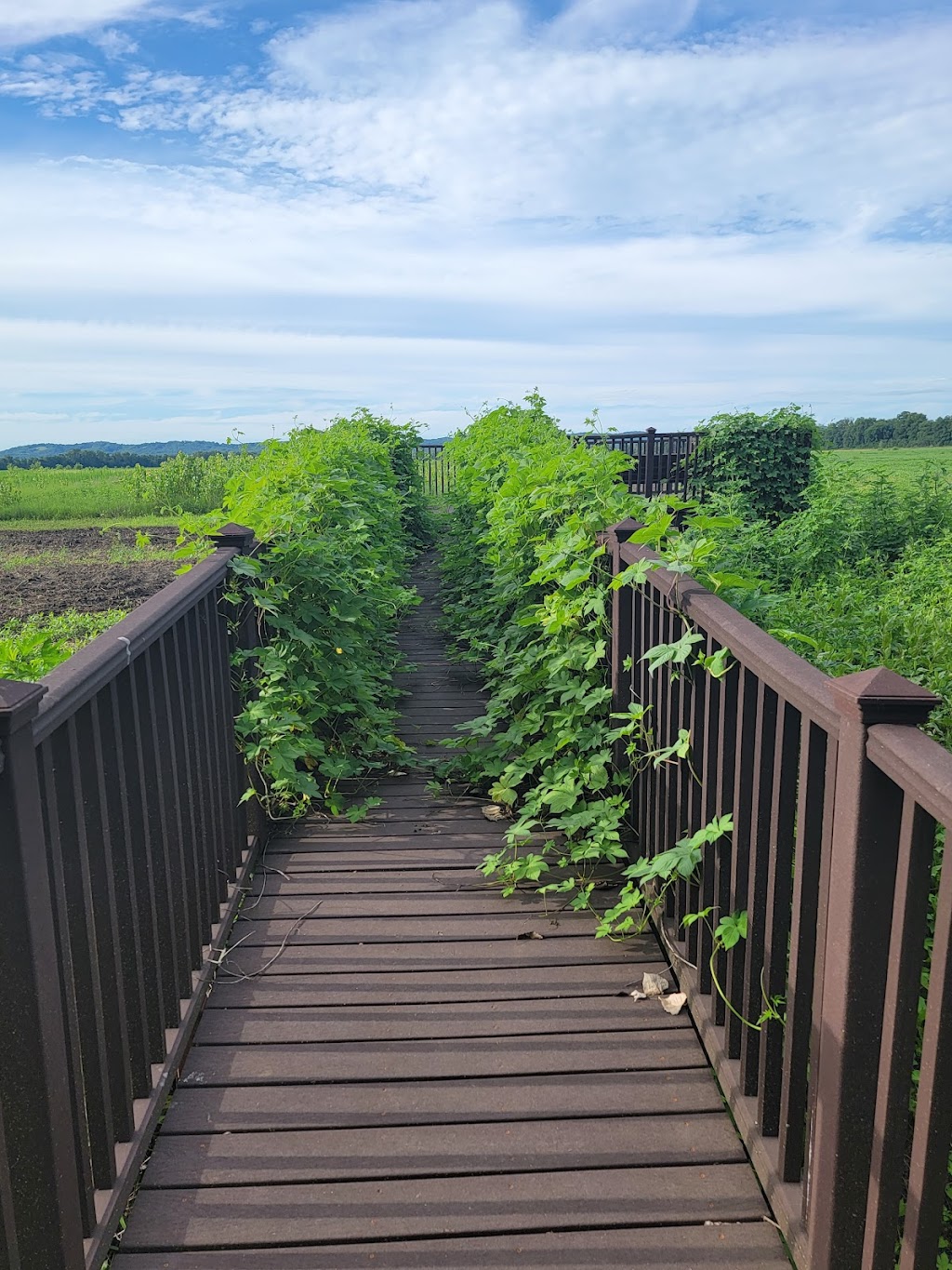 Two Rivers National Wildlife Refuge | 364 Wildlife Conservation Rd, Brussels, IL 62013, USA | Phone: (618) 883-2524