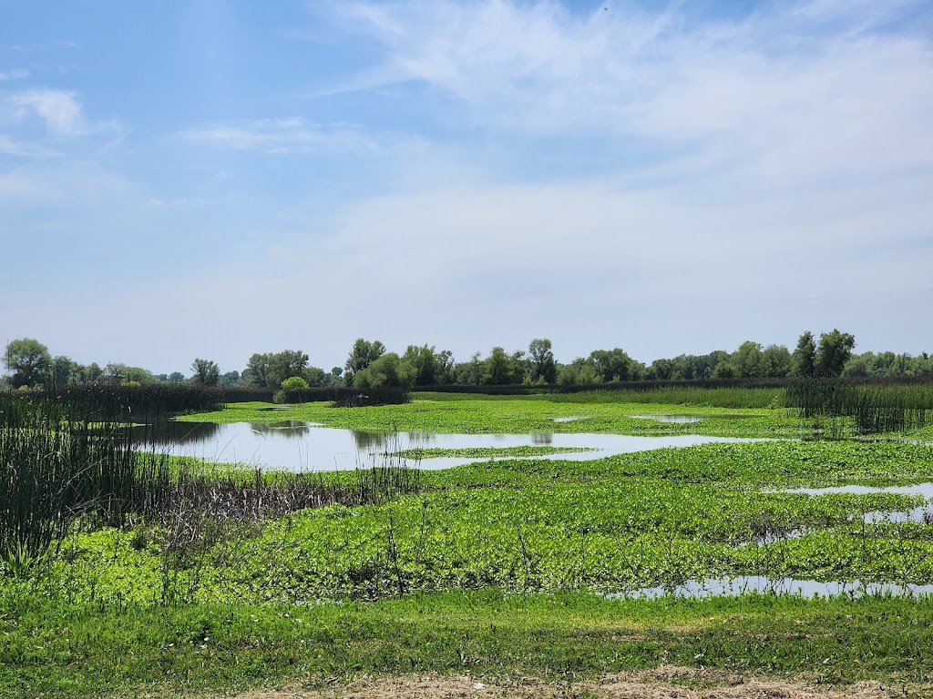 Sutter National Wildlife Refuge | 4529 Schlag Rd, Yuba City, CA 95993, USA | Phone: (530) 934-2801