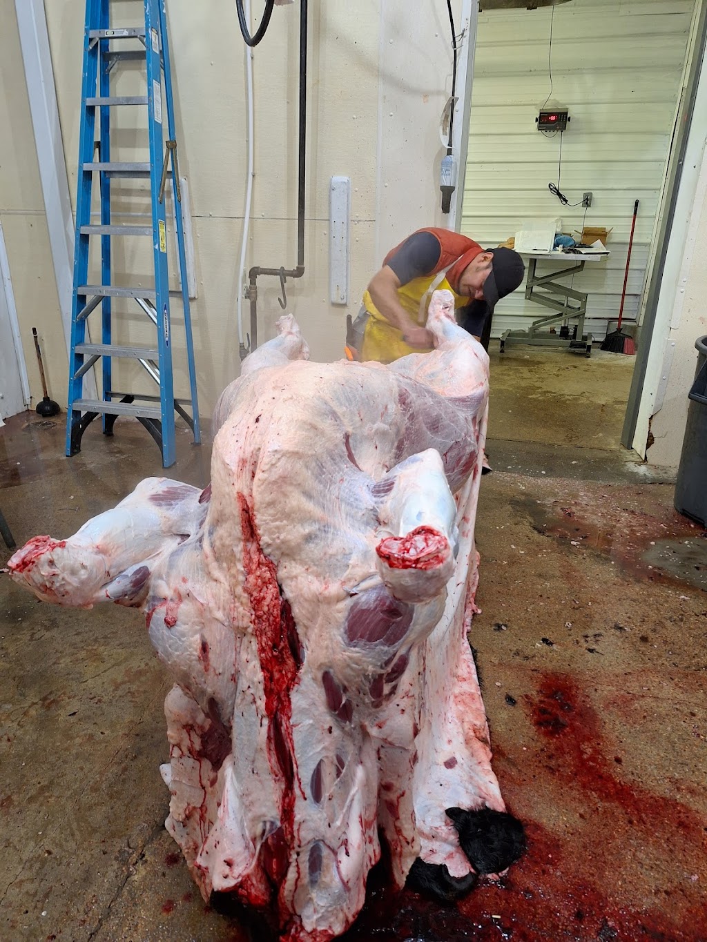 Burden Meats | 418 N Main St, Burden, KS 67019, USA | Phone: (620) 438-3000