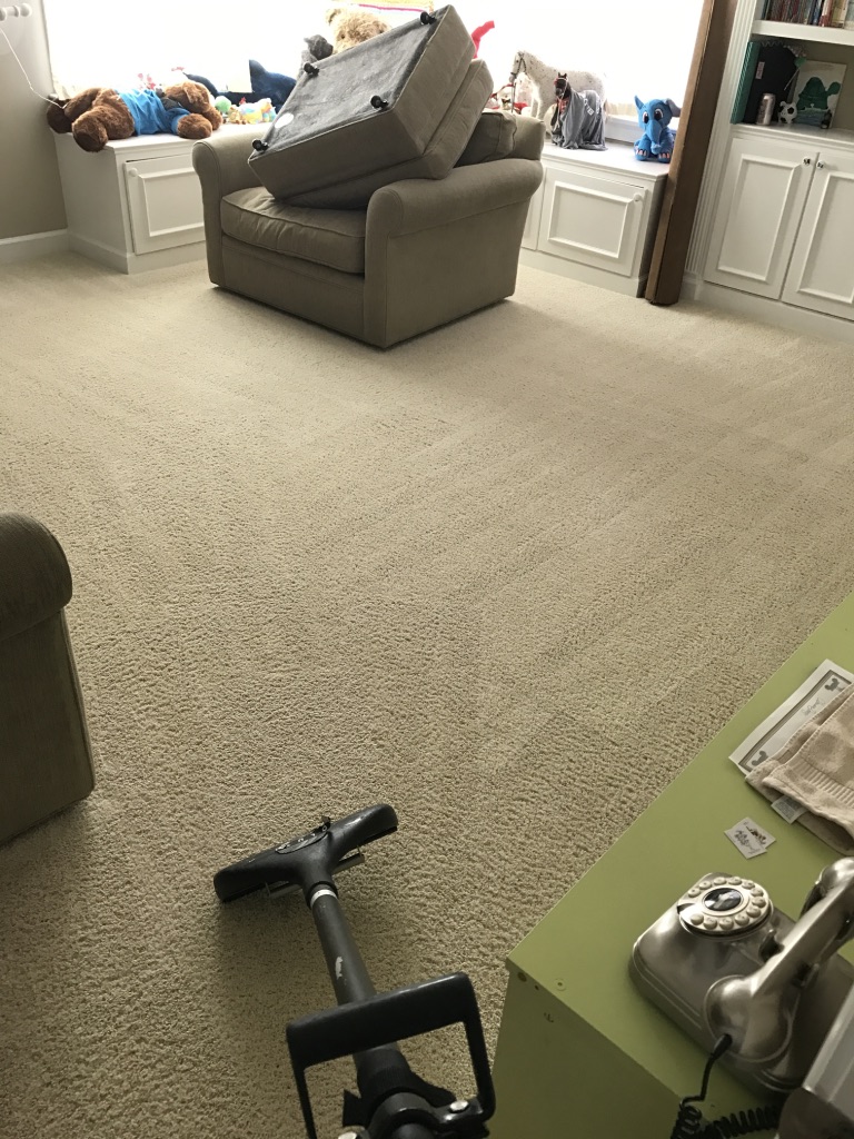 TW PRO Carpet & Upholstery Cleaning Services | 5911 Applewood Ln, Raleigh, NC 27609, USA | Phone: (919) 360-7536