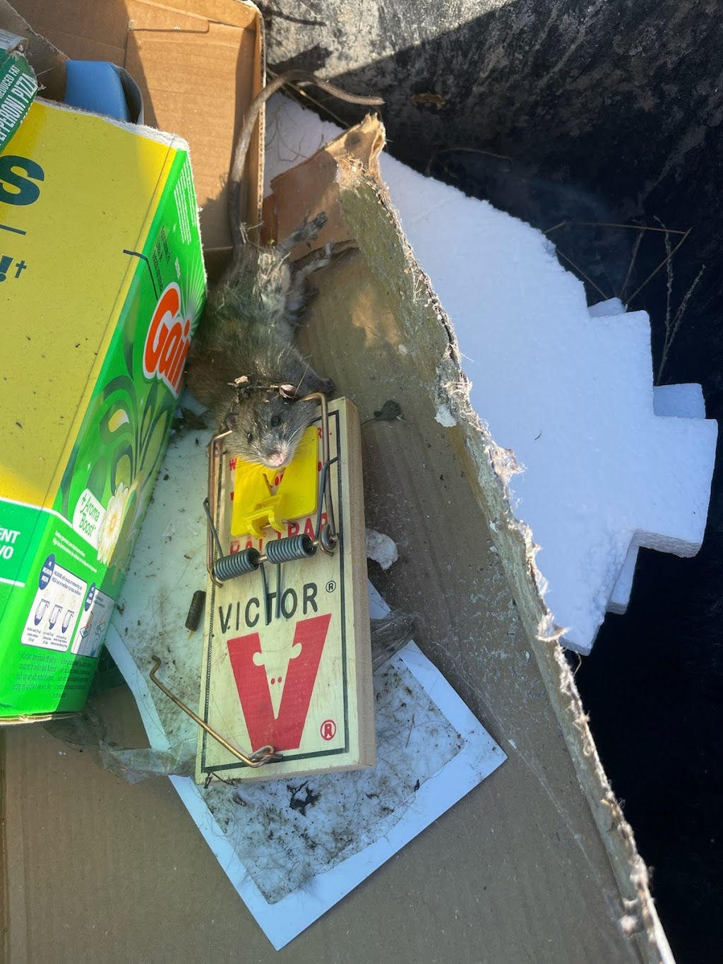 Getem Gone pest control | 37623 57th St E, Palmdale, CA 93552, USA | Phone: (424) 571-3306