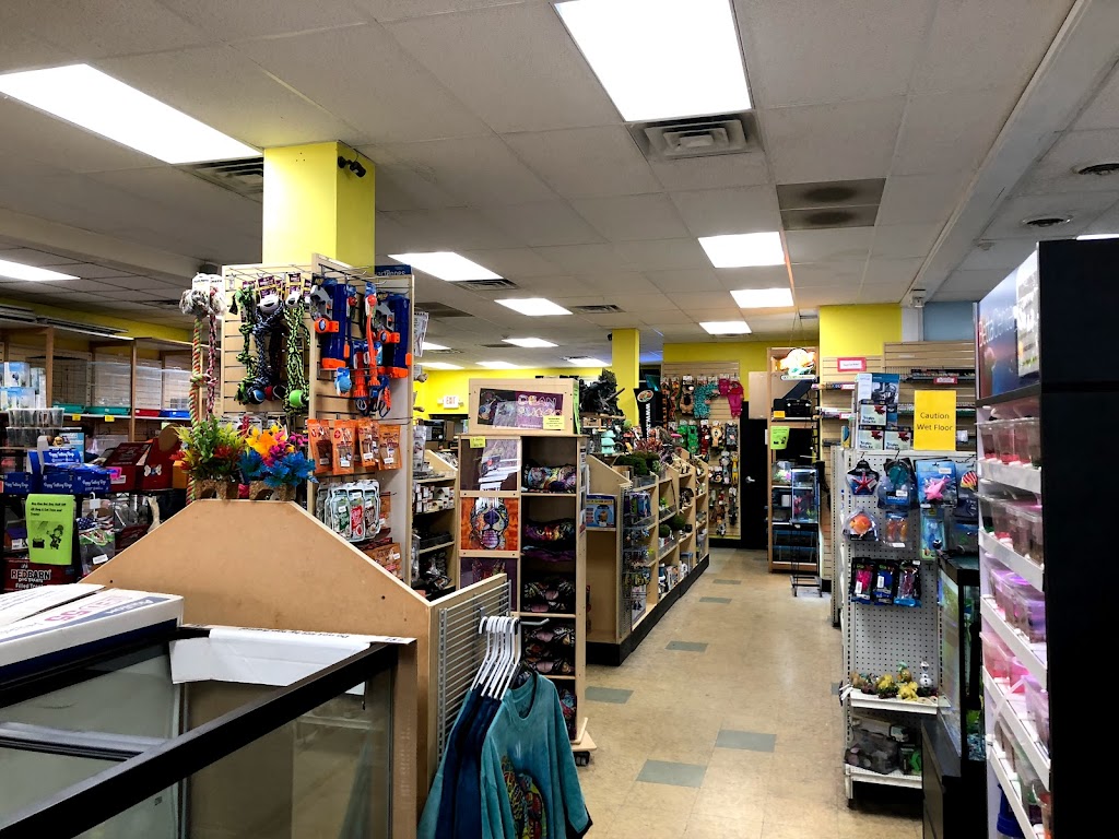 Everything Pets | 1506 Altamont Ave, Schenectady, NY 12303, USA | Phone: (518) 355-2488