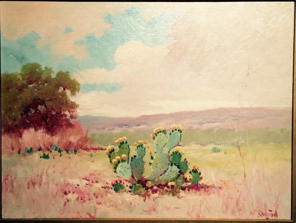 Country Store Art Gallery Inc | 11100 Mt Sharp Rd, Wimberley, TX 78676, USA | Phone: (512) 474-6222