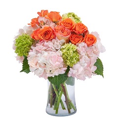 Joseph Genuardi Florist & Flower Delivery | 410 E Fornance St, Norristown, PA 19401, United States | Phone: (610) 272-0157