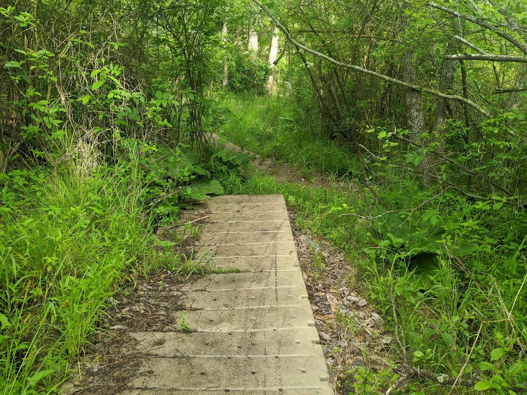 Parvin State Park Office | 701 Almond Rd, Pittsgrove, NJ 08318, USA | Phone: (856) 358-8616