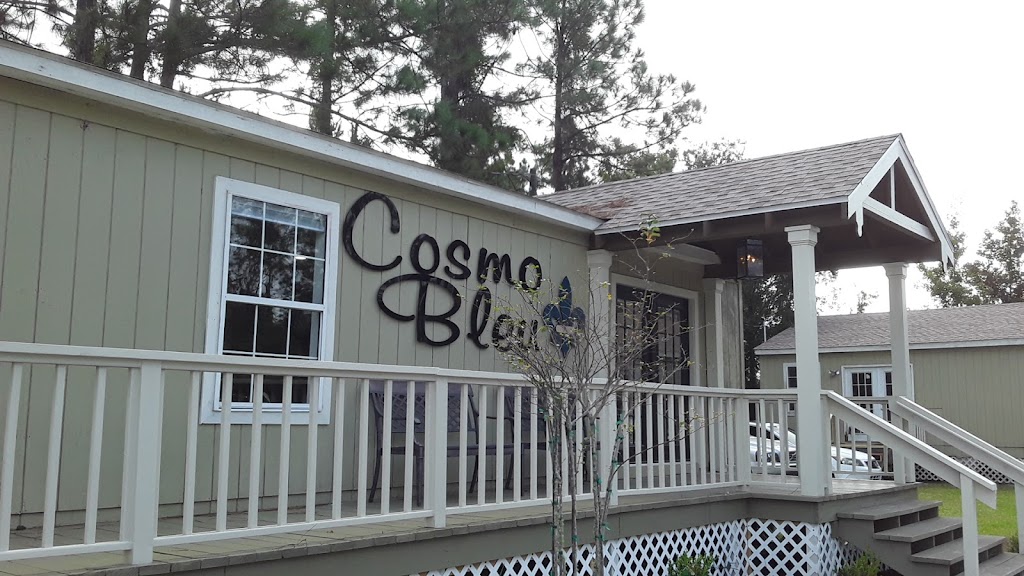 Cosmo Bleu Salon | 1528 Boone Ave suite d, Kingsland, GA 31548, USA | Phone: (912) 729-4004