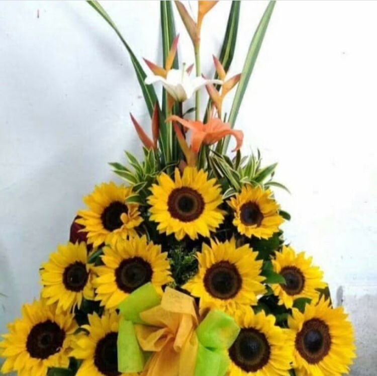 BLOOMERS FLOWERS | 192 A St, Hayward, CA 94541, USA | Phone: (510) 677-6935