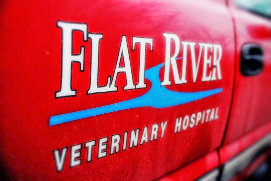 Flat River Veterinary Hospital | 325 Red Mountain Rd, Rougemont, NC 27572, USA | Phone: (919) 477-4210