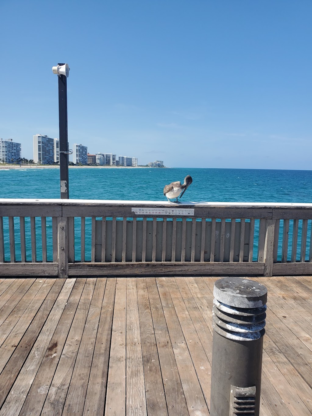 Pelican By The Sea Motel | 3209 NE 7th St, Pompano Beach, FL 33062, USA | Phone: (954) 312-9495