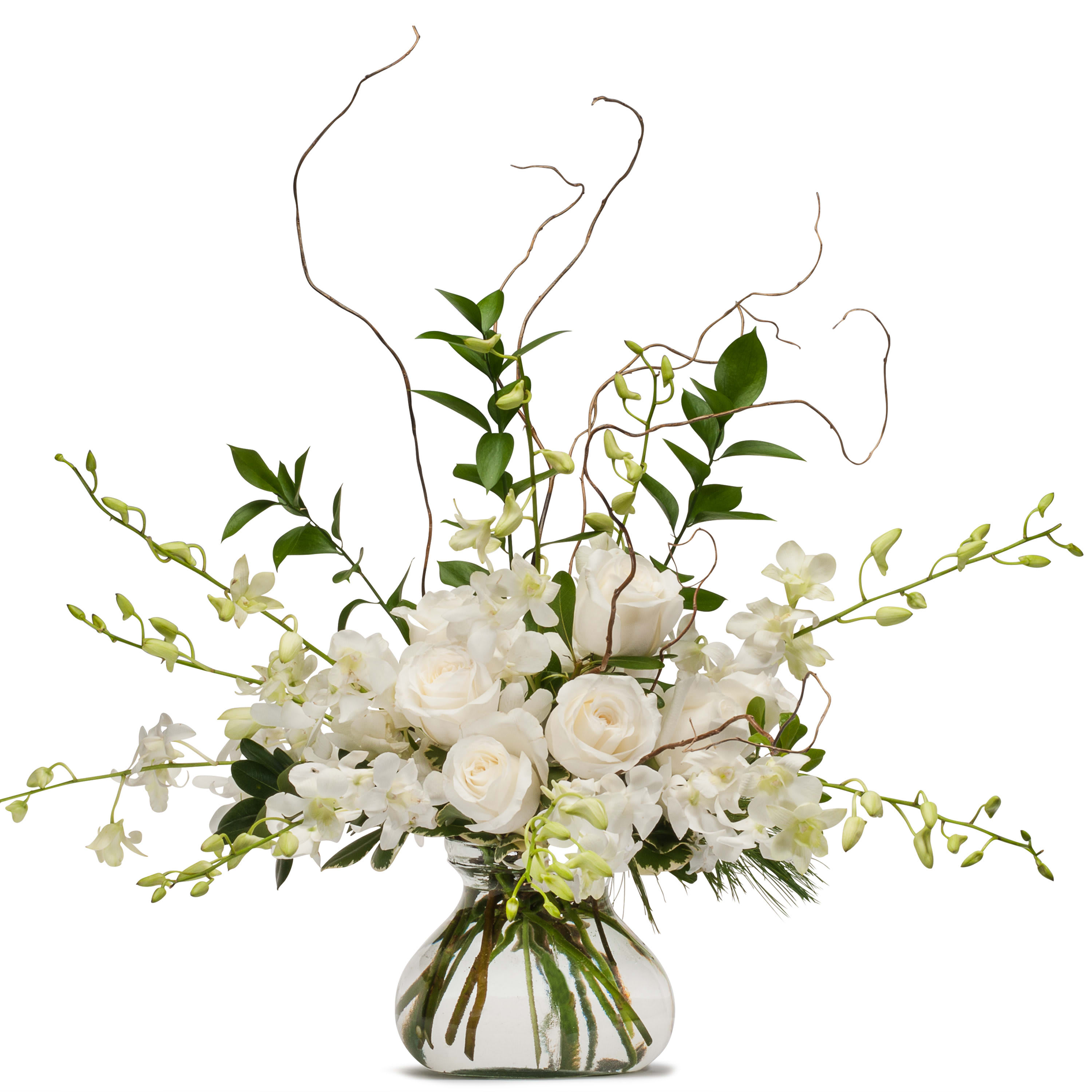 Baltimores Florist | 1206 Ridgely St, Baltimore, MD 21230, United States | Phone: (410) 727-6610