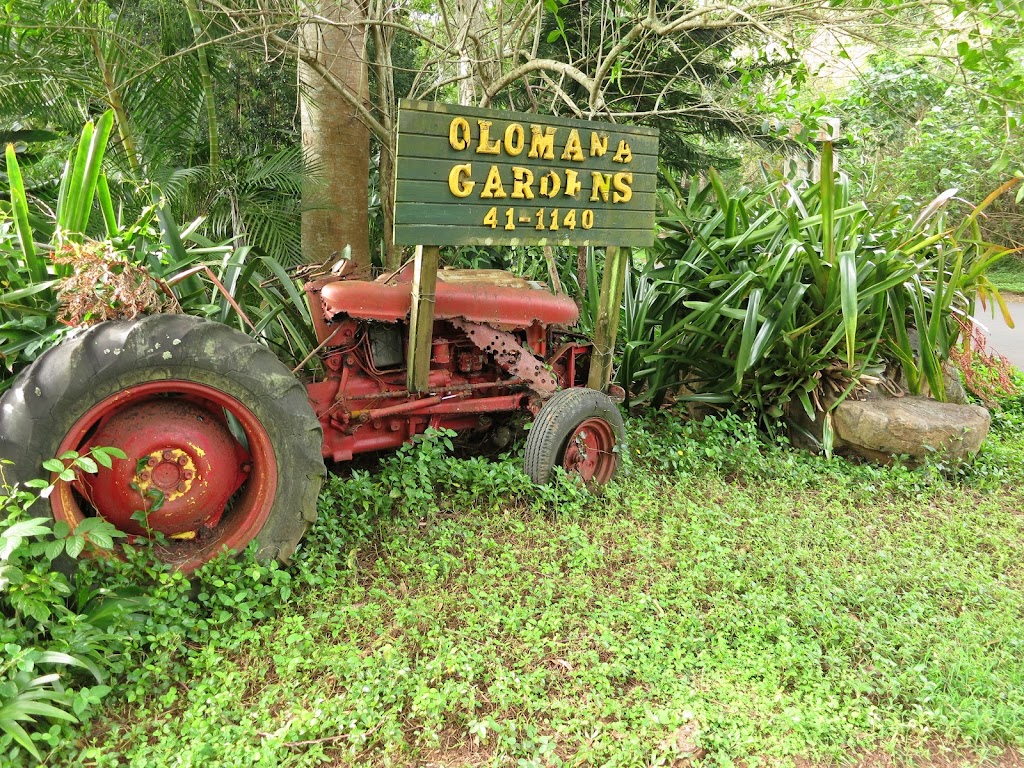 Olomana Gardens in Waimanalo, Hawaii | 41-1140 Waikupanaha St, Waimanalo, HI 96795, USA | Phone: (808) 259-0223