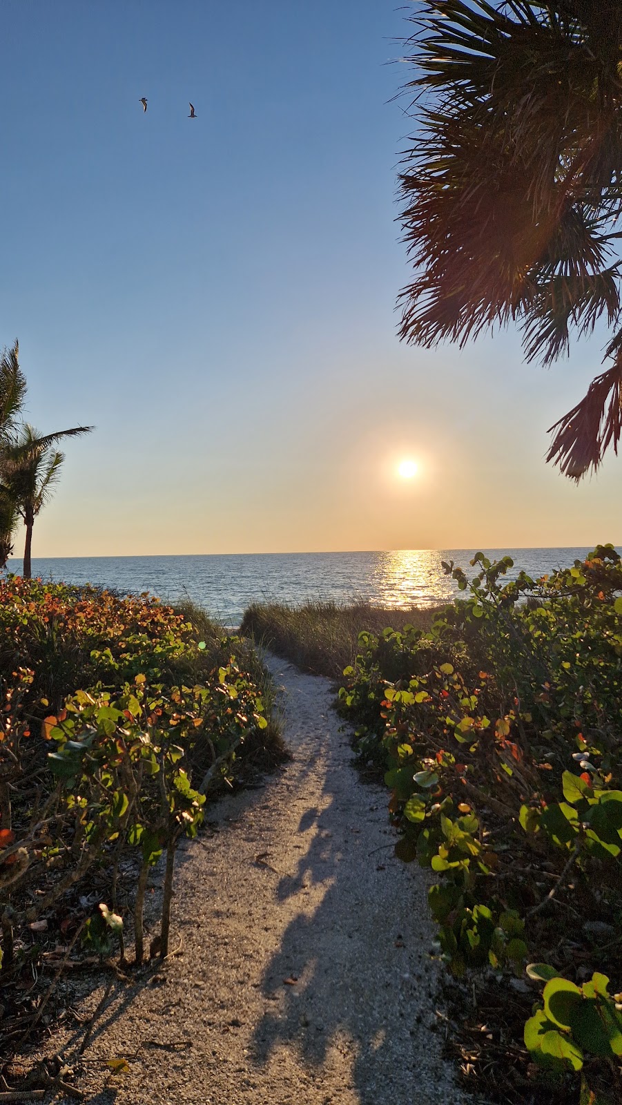 Casey Key Real Estate | 7131 Curtiss Ave, Sarasota, FL 34231, USA | Phone: (941) 544-6467