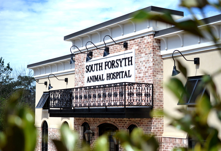 South Forsyth Animal Hospital | 2200 Old Alpharetta Rd, Cumming, GA 30041, USA | Phone: (770) 889-0737