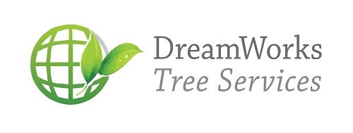 DreamWorks Tree Service | 8799 Concession Rd 5, Uxbridge, ON L9P 1R1, Canada | Phone: (647) 924-2627