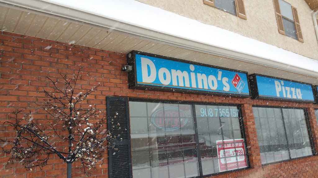 Dominos Pizza | 50 Mt Bethel Rd, Warren, NJ 07059, USA | Phone: (908) 755-5757