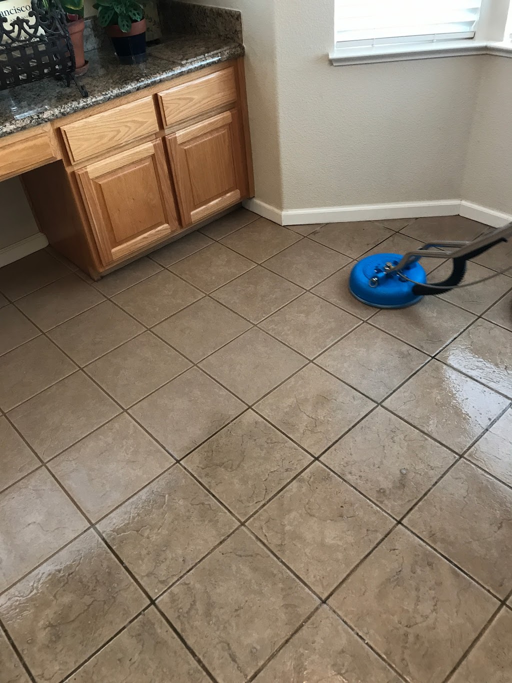 Dependable Carpet Cleaning | 10 Terri Ct, Oakley, CA 94561, USA | Phone: (925) 516-0911