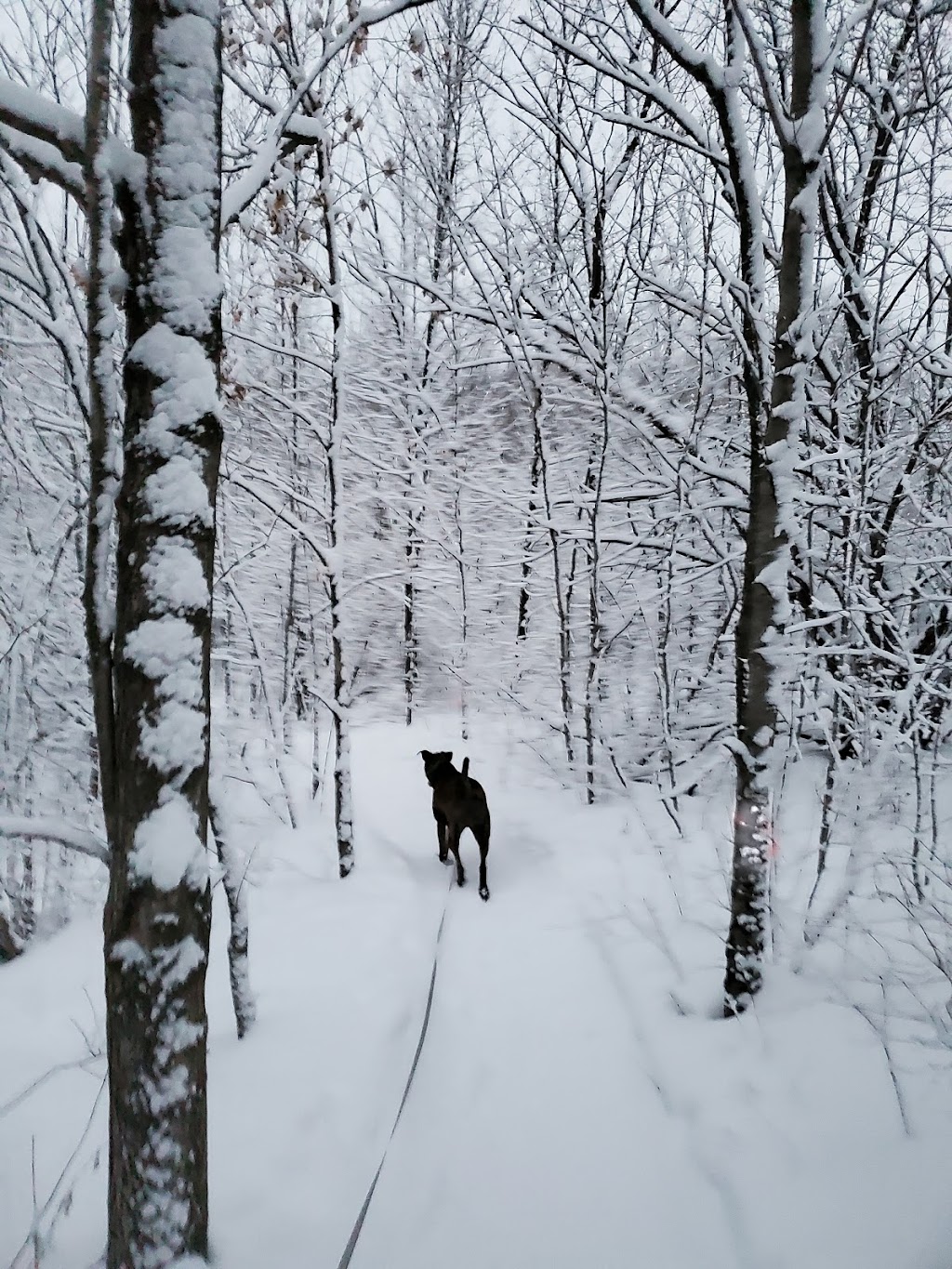 Heritage Trails County Park | 4668 County Hwy E, Slinger, WI 53086, USA | Phone: (262) 335-4445