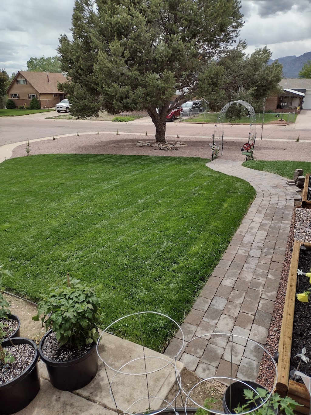 Schuberts Sod Depot | 6951 Space Village Ave, Colorado Springs, CO 80915, USA | Phone: (719) 591-6106