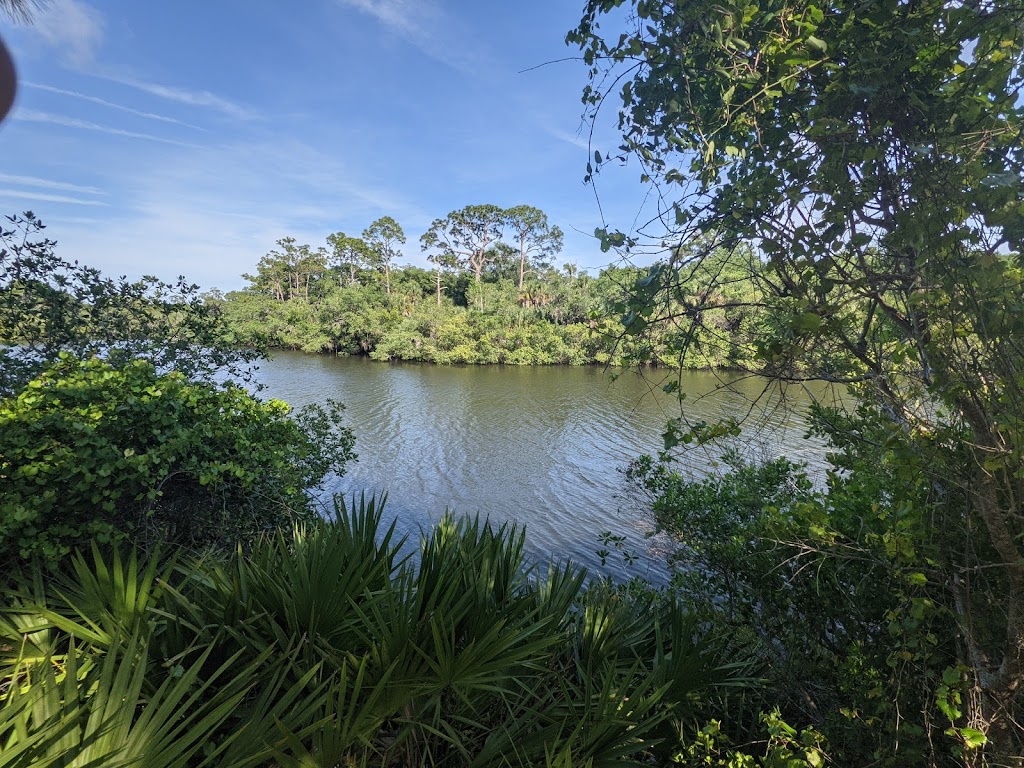 Oscar Scherer State Park | 1843 S Tamiami Trail, Osprey, FL 34229, USA | Phone: (941) 483-5956