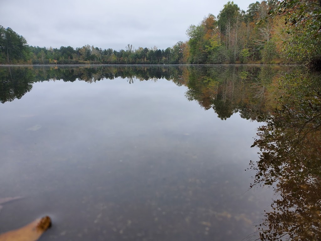 Davidson-Arabia Mountain Nature Preserve | 3787 Klondike Rd, Stonecrest, GA 30038, USA | Phone: (770) 492-5220