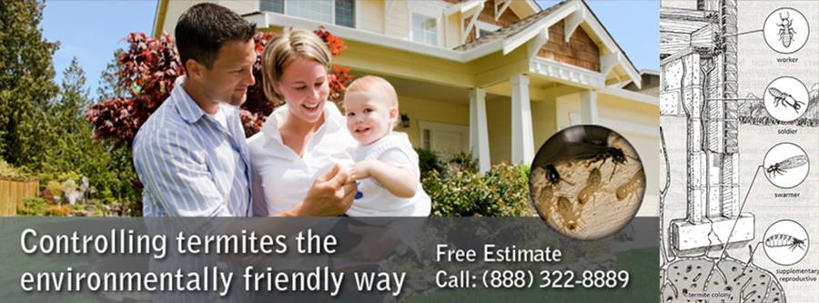 Hi Tech Termite Control - Termite Inspection Near Me | Fumigation Services | 21063 Cabot Blvd # 6, Hayward, CA 94545, USA | Phone: (888) 322-8889