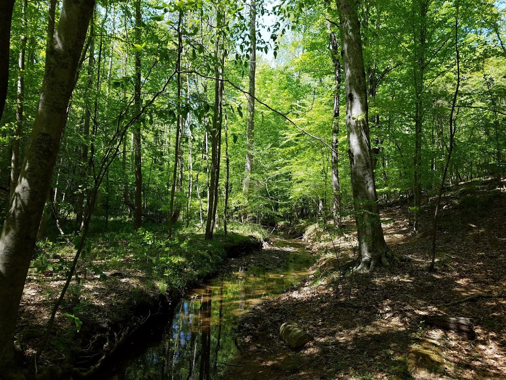 Johnston Mill Nature Preserve | 2713 Mt Sinai Rd, Chapel Hill, NC 27514, USA | Phone: (919) 908-8809