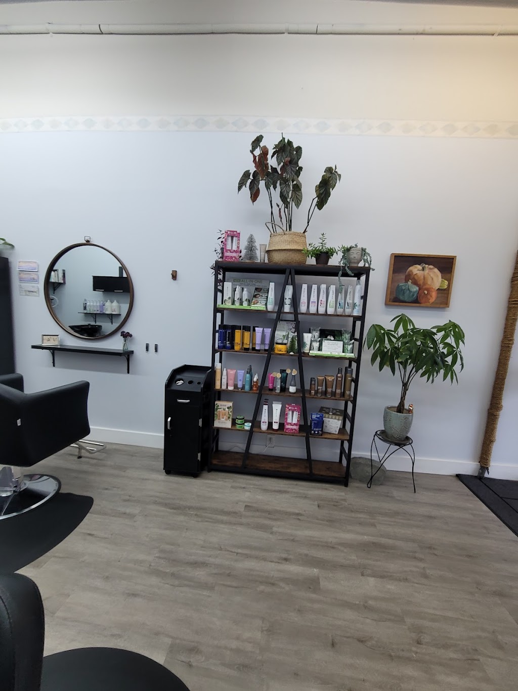 EVOLVE SALON | 124 Harrison St, Port Townsend, WA 98368, USA | Phone: (360) 302-6444