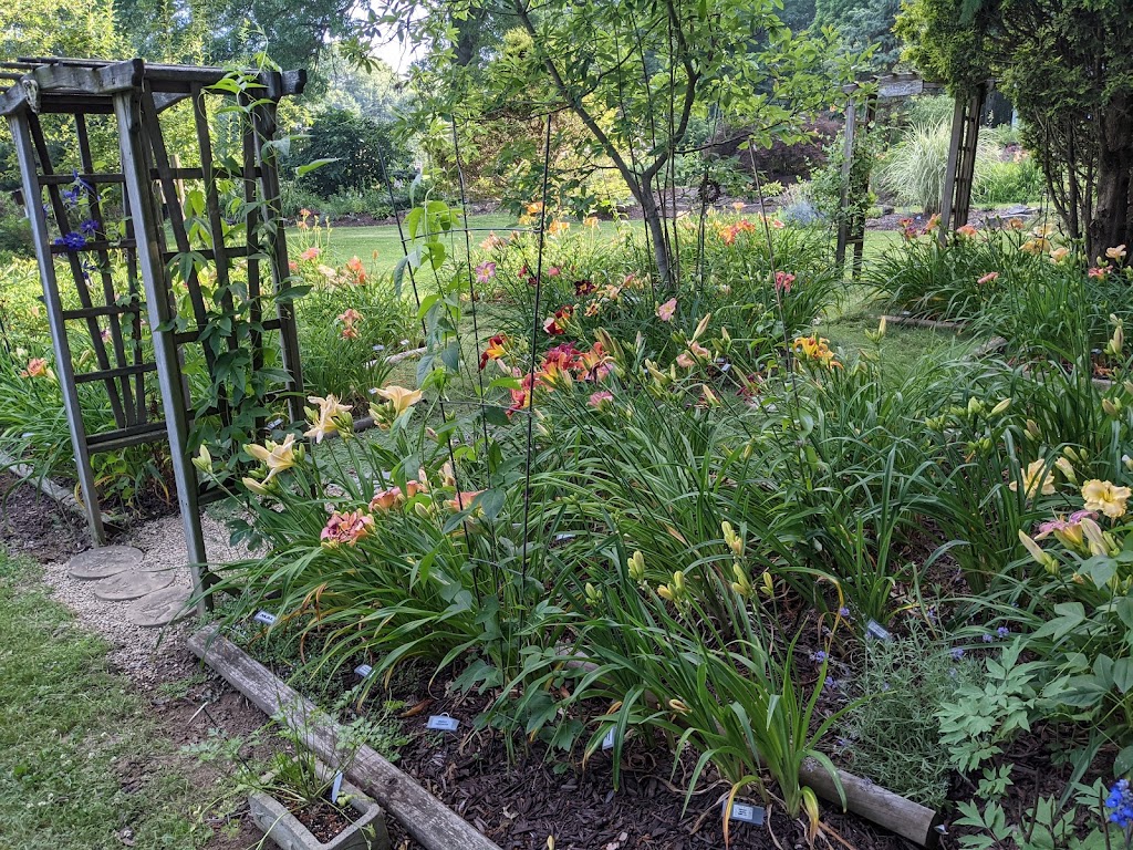 Proper Place Perennials - Daylilies & Hosta plants for sale | 2889 Rohrer Rd, Wadsworth, OH 44281, USA | Phone: (330) 336-7592