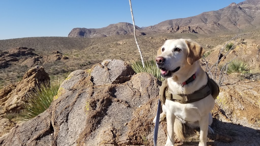 Chuck Heinrich Memorial Park | Officer Andrew Barcena Dr, El Paso, TX 79934, USA | Phone: (915) 319-5997