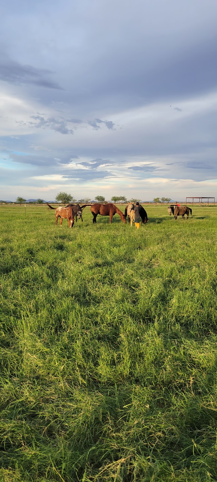 Arizona Polo Club | 29865 W Marsh Rd, Casa Grande, AZ 85193, USA | Phone: (480) 201-4530