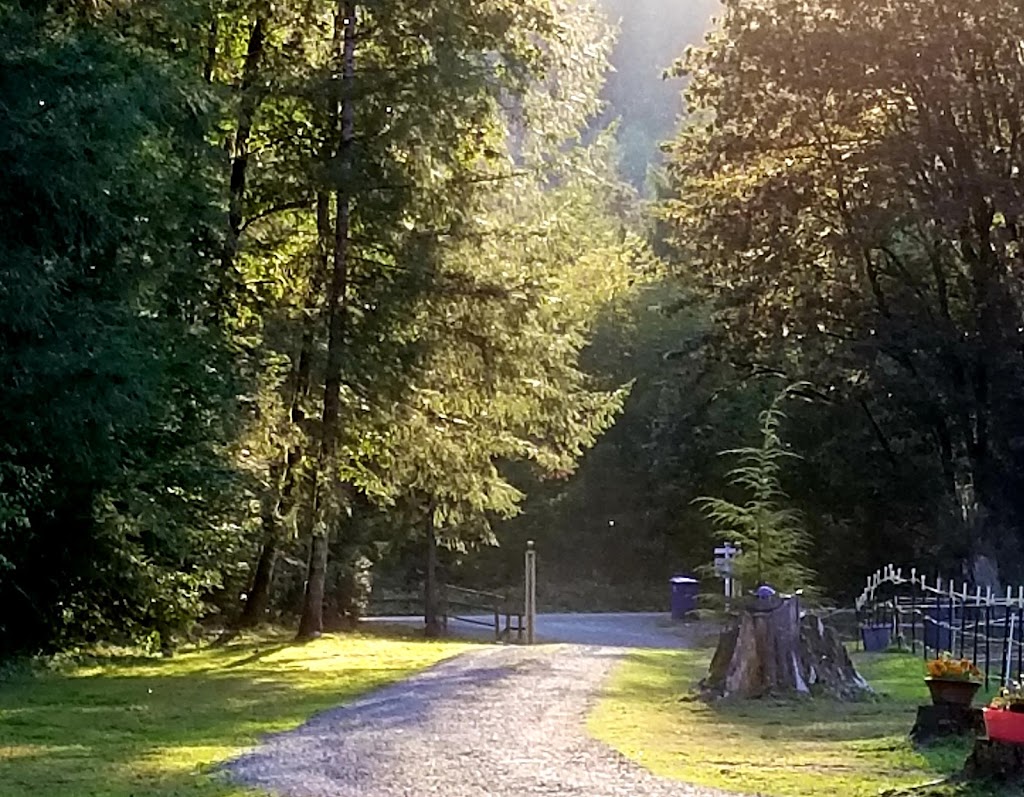 Shamrock Equine Therapy | 12533 Reiner Rd, Monroe, WA 98272, USA | Phone: (425) 770-1117