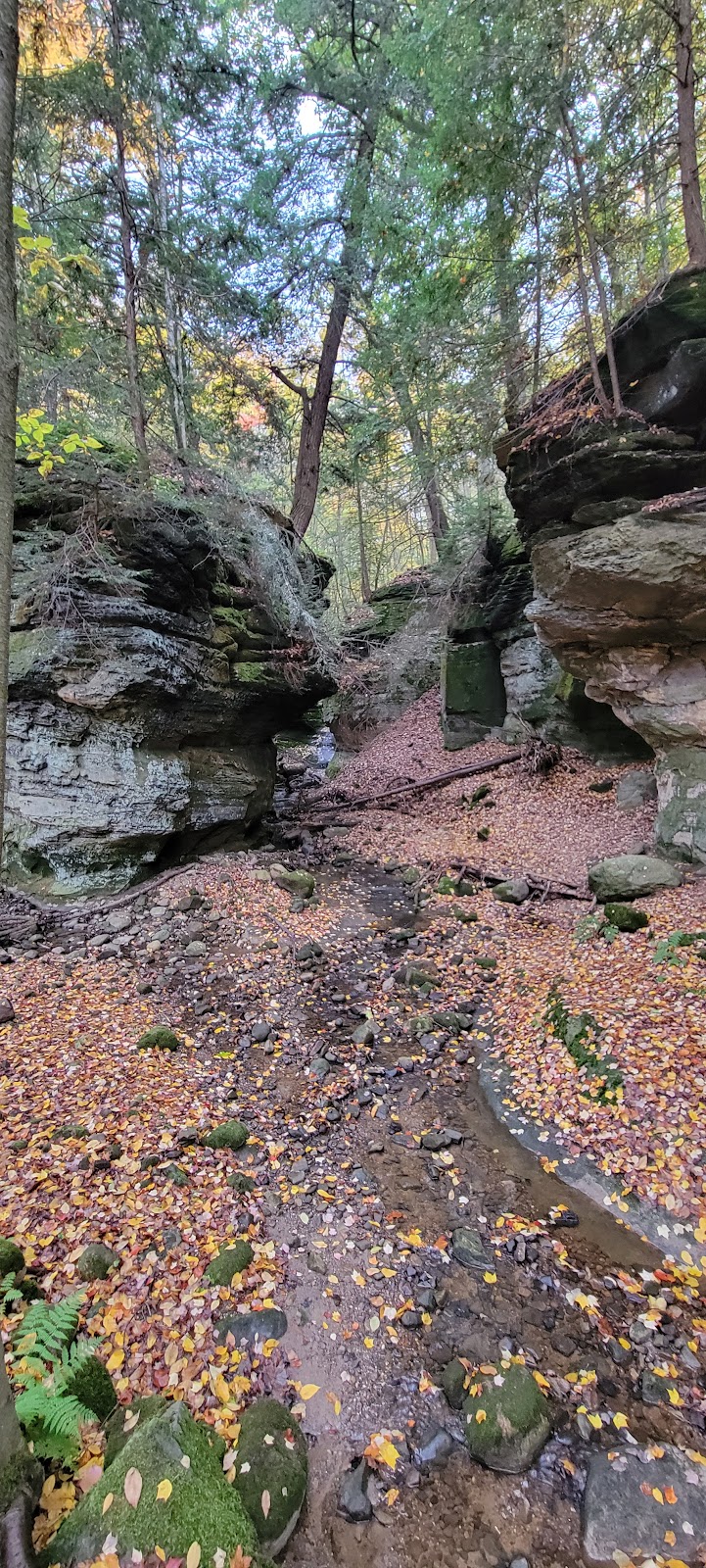 The West Woods | 9465 Kinsman Rd, Novelty, OH 44072, USA | Phone: (440) 286-9516