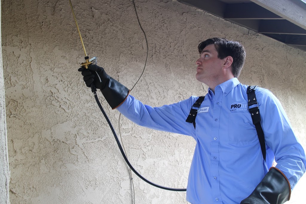 Prolific Pest Services | 1308 E Colorado Blvd #102, Pasadena, CA 91106, USA | Phone: (626) 741-2000